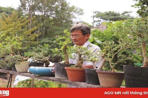 'Lợi kép' với nghề trồng kiểng