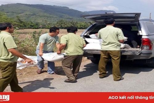 Phát hiện 1.250 kg đường cát lậu tại khu đất trống