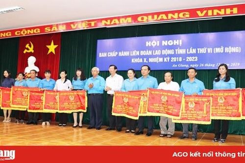 Liên đoàn Lao động tỉnh tổng kết công tác hoạt động năm 2019