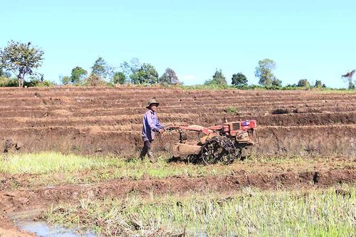Chư Sê: Chủ động phòng tránh hạn cuối vụ cho lúa Đông Xuân