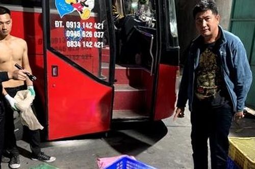 Vận chuyển 18 cá thể rùa quý hiếm