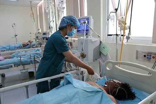 Vụ 6 người ngộ độc cá nóc ở Quảng Ngãi: 1 người đã tử vong