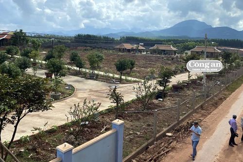 Vụ 'biệt phủ chui' trên đất rừng: Ông Phan Ngọc Anh đã gom mua đất rừng như thế nào?