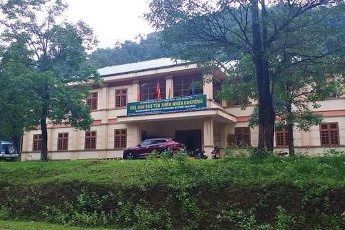 Hạt trưởng Kiểm lâm bị giáng chức vì để lâm tặc phá rừng