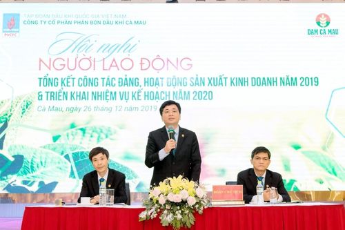 Đạm Cà Mau đạt kết quả đáng ghi nhận trong bối cảnh nhiều thách thức của năm 2019