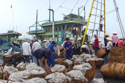 Hụt giấc mơ 10 tỷ USD, thế mạnh Việt Nam 1 năm tụt dốc
