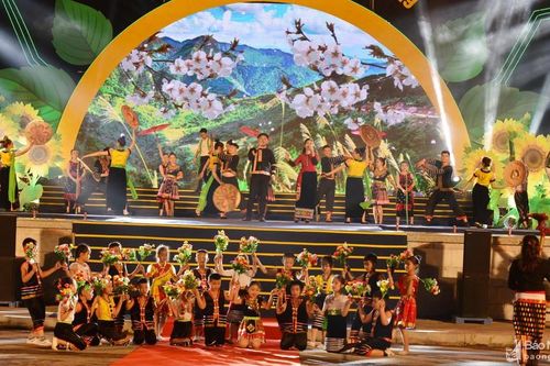 Nghệ An: Khai mạc Lễ hội Hoa Hướng dương 2019