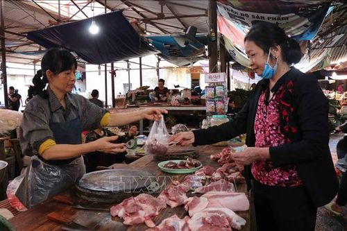 Tỉnh Kursk của Nga xuất khẩu thịt lợn sang Việt Nam