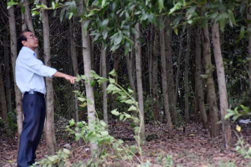 Trăn trở với Kông Chro