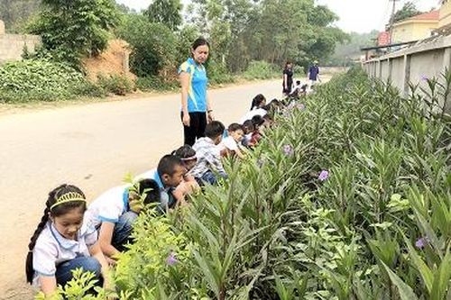 Tháo gỡ khó khăn trong thực hiện tiêu chí môi trường