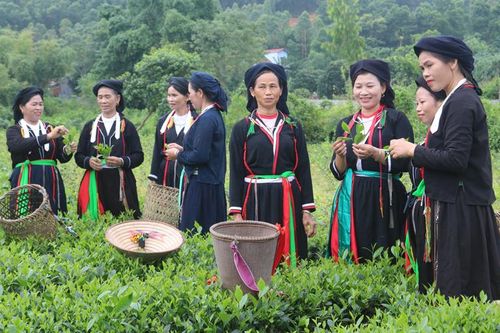 Diện mạo mới ở Phúc Thuận