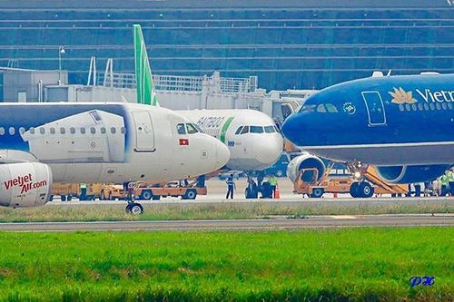 Hàng không Việt tăng máy bay nhưng tỷ lệ delay không giảm