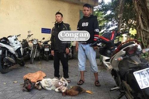 Trộm chó 'đổi' heroin