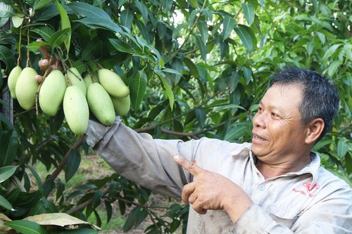 Áp dụng khoa học để tạo đột phá trong nông nghiệp