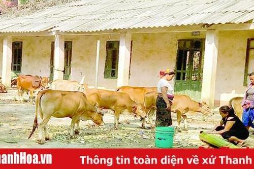 Đồng hành cùng phụ nữ dân tộc thiểu số phát triển kinh tế