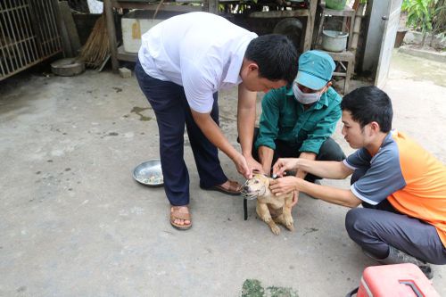 13 cơ sở được cấp chứng nhận chăn nuôi an toàn dịch bệnh