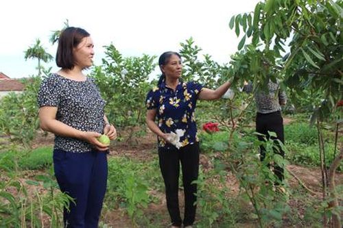 Hội LHPN huyện Yên Khánh: Phát huy vai trò của phụ nữ trong các phong trào thi đua