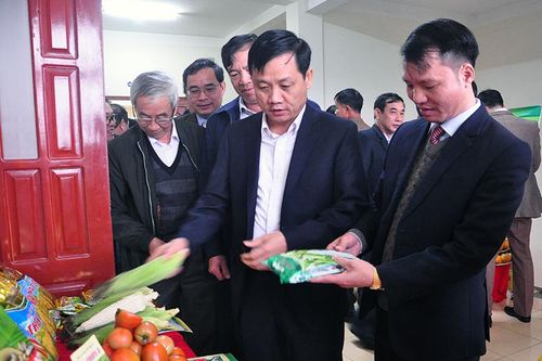 Phấn đấu giá trị sản xuất nông, lâm nghiệp năm 2020 đạt trên 8.768 tỷ đồng