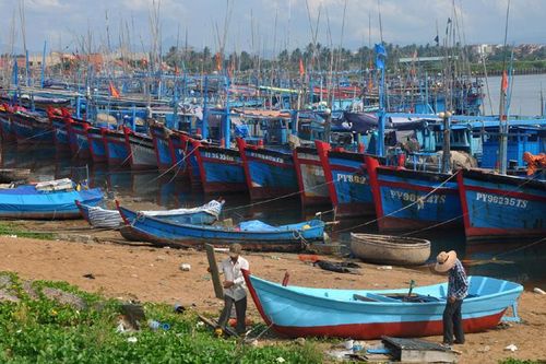 Cho vay đóng tàu đánh bắt xa bờ: Nợ xấu, nợ quá hạn gần 4 nghìn tỷ đồng, chiếm gần 40%