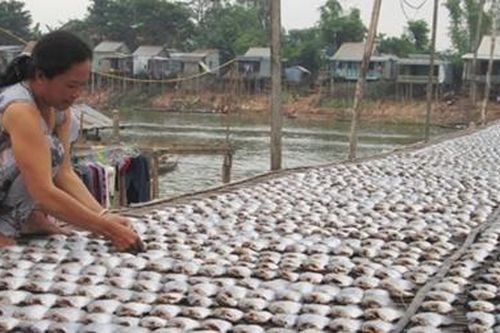 Đặc sản Miền Tây tất bật vào vụ Tết