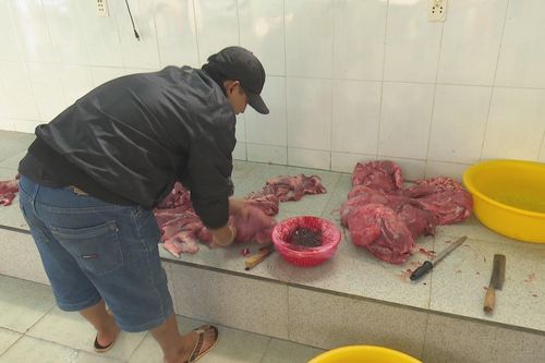 Heo nái bôi đỏ thành thịt bò rồi đưa chế biến cỗ cưới