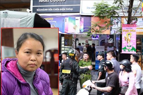 Vì sao Chánh Văn phòng Sở Kế hoạch Đầu tư Hà Nội Phạm Thị Thu Hường bị bắt giam?
