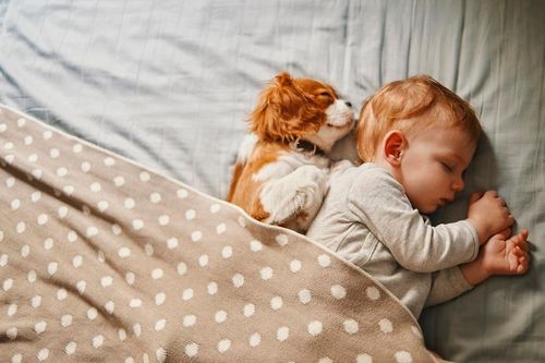 Chuyện gì xảy ra khi cả thế giới đi ngủ cùng giờ?
