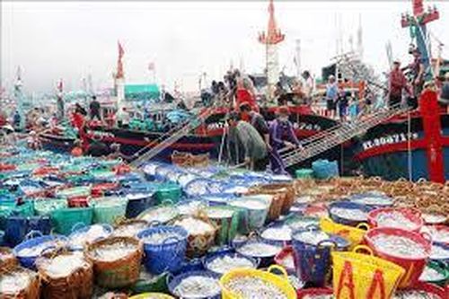 Điểm mấu chốt để thủy sản phát triển