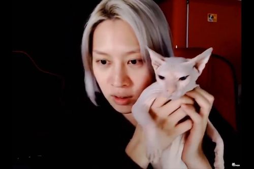 Heechul xác nhận đang nuôi mèo của Sulli