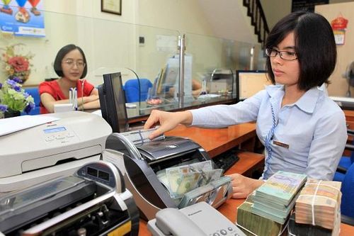 Điều hành tỷ giá: Một năm vượt sóng thành công
