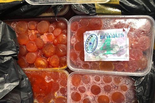 Bắt giữ 2 xe container chở thực phẩm nhập lậu tại Siêu thị MM Mega Market