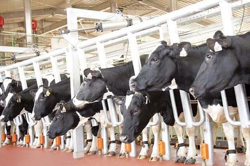 'Chìa khóa vàng' cho phát triển nông nghiệp