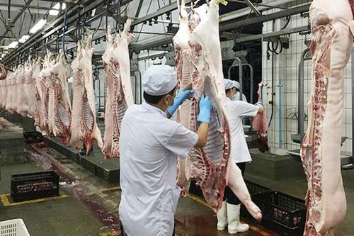 TPHCM tăng thêm 1.000 tấn thịt heo phục vụ Tết Nguyên đán 2020
