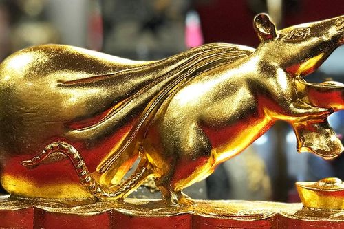 Chơi Tết sang, đại gia xuống tay 3 triệu rinh chuột vàng