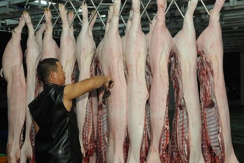 Bình ổn giá, đảm bảo nguồn cung thịt lợn tại khu vực phía Nam