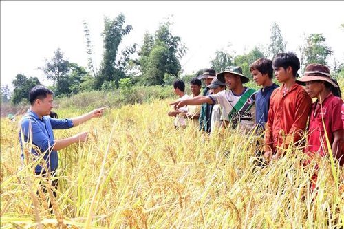 Gia Lai: Hướng tới phát triển các sản phẩm đặc trưng vùng cao