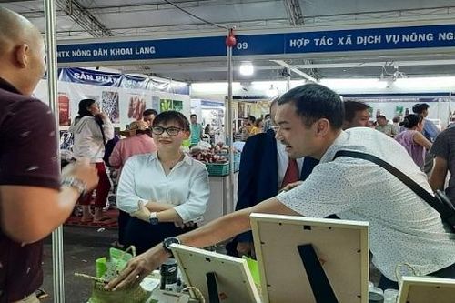 Kiên Giang tập trung tiêu thụ sản phẩm vào thị trường TP. Hồ Chí Minh