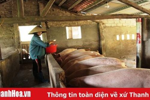 Đẩy mạnh phát triển chăn nuôi gia súc, gia cầm và thủy sản