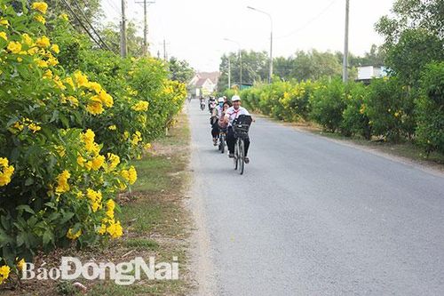 Xây dựng nông thôn 'xanh - sạch - đẹp'