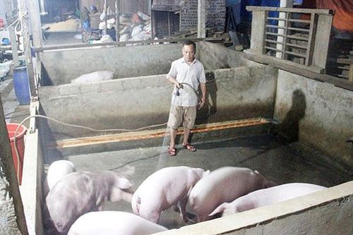 Mở rộng nhiều mô hình kinh tế hiệu quả