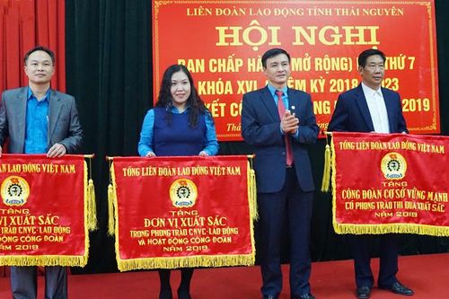 Nhiều hoạt động hướng về cơ sở