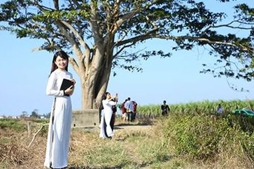 Thu hút khách du lịch từ phim 'Mắt biếc'