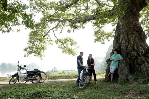 VTV 'đổi món' với phim truyền hình về thanh niên nông thôn mới