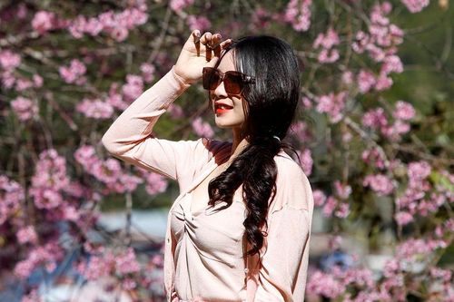 Du khách kéo nhau lên Đà Lạt ngắm mai anh đào khoe sắc
