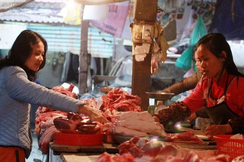 Hà Nội bảo đảm đủ thịt lợn phục vụ Tết