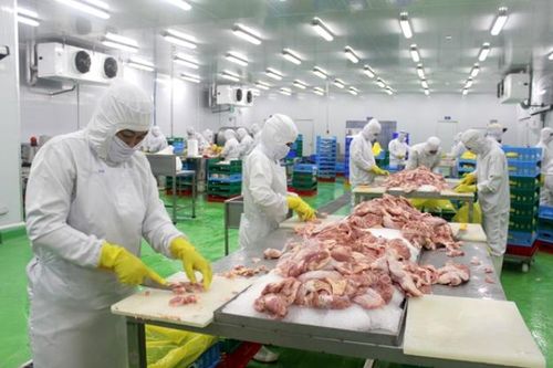 Việt Nam xuất khẩu 11 triệu USD thịt gà sang Nhật Bản