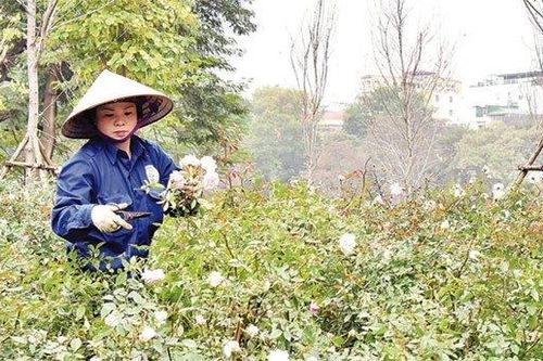Bảo đảm mọi người, mọi nhà đều có Tết