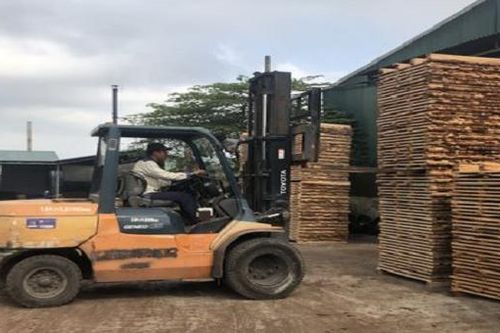Chặn lỗ hổng kiểm soát nguồn gốc gỗ