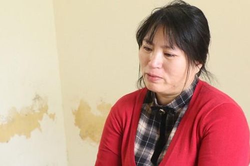 Người phụ nữ lừa chiếm gần 2 tỷ đồng của người có nhu cầu đi nước ngoài