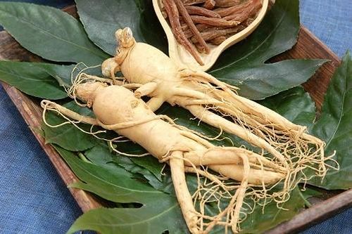 Nhân sâm là 'thần dược', nhưng cực độc với những người sau